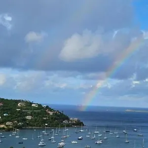 Immaculate Ocean Views Above The Westin - Large Deck Cruz Bay